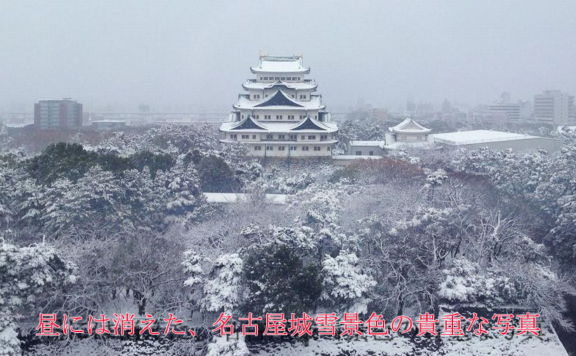 名古屋城・雪の鯱